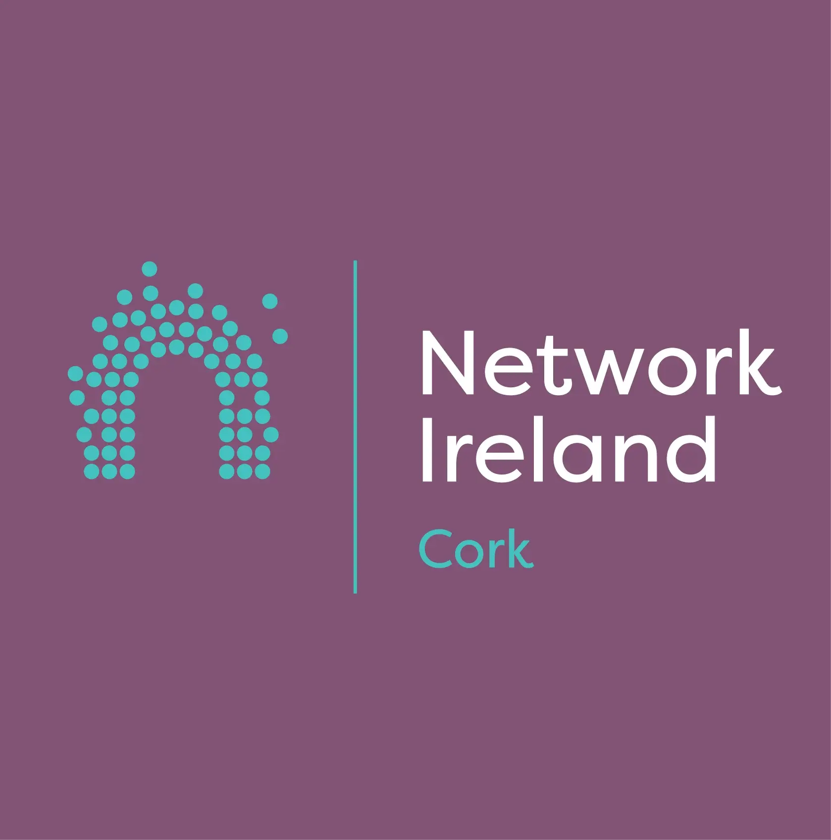 NETIRL_Cork_LinkedIn